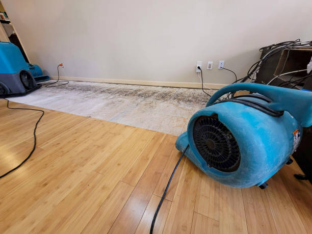 Professional Basement Flood Cleanup technician working in Foxworth, MS